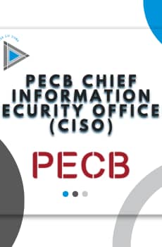 Chief Information Security Officer (CISO)