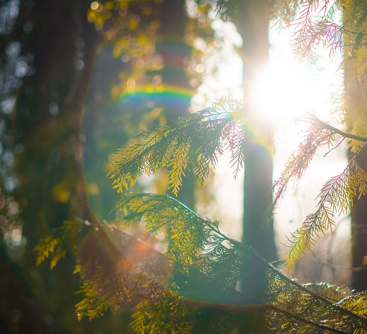 Photo by Caspar Rae on Unsplash